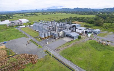 Proyecto de Biomasa en Panamá