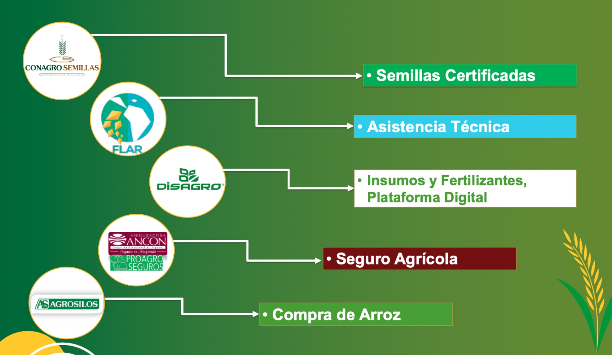 Empresas Participantes Panama Crece en Arroz programa con Conagro Semillas y Agrosilos