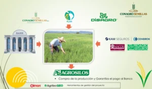 Panama Crece en Arroz programa con Conagro Semillas y Agrosilos